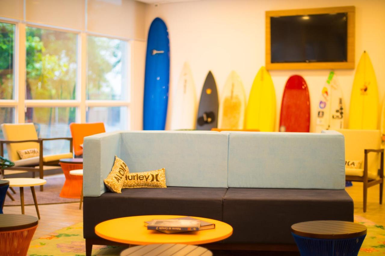Delphin Surf